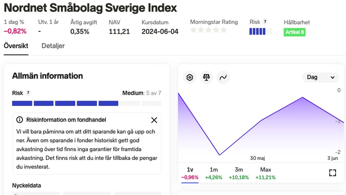 Frida Bratt ekonom ekonomi fond småbolag