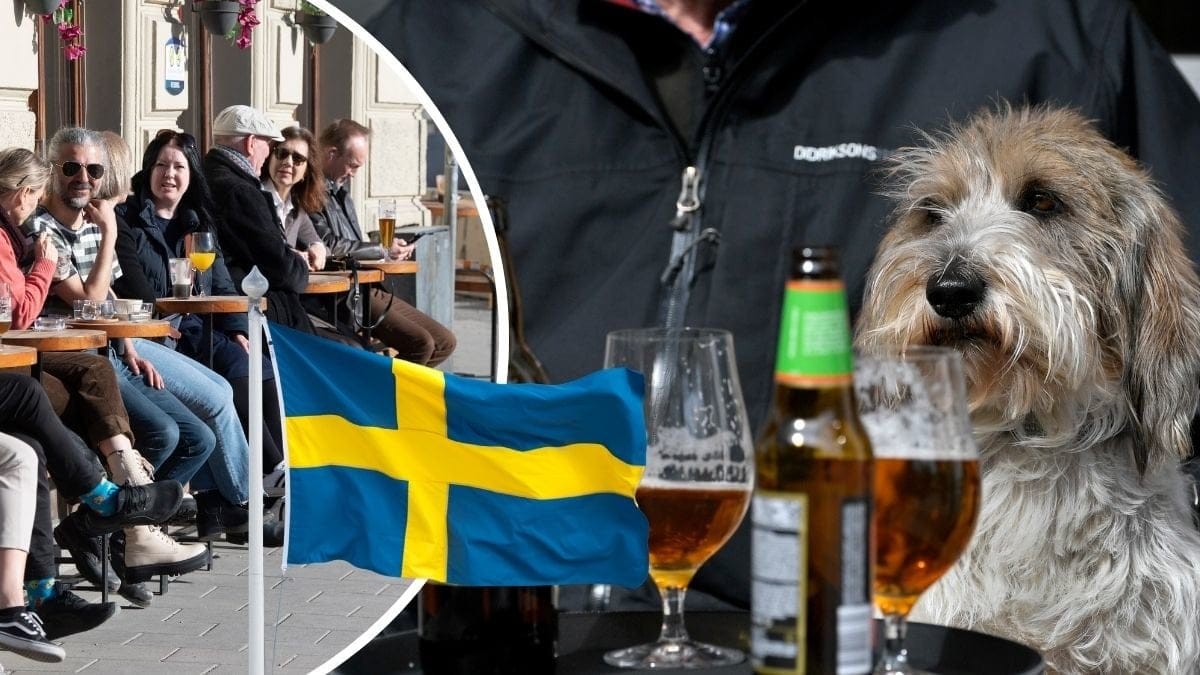 Uteservering, bar, svensk flagga