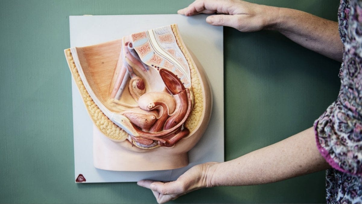 Lakare-kan-nu-skjuta-upp-klimakteriet-i-upp-till-20-ar