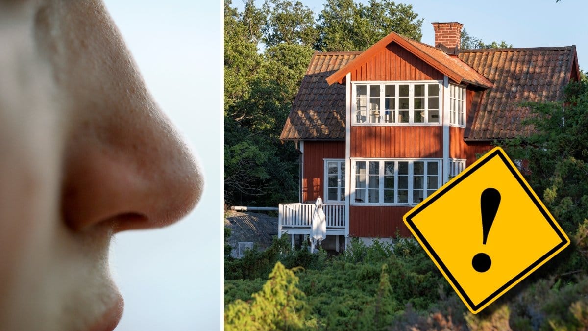 En näsa och ett rött hus i en lummig trädgård.