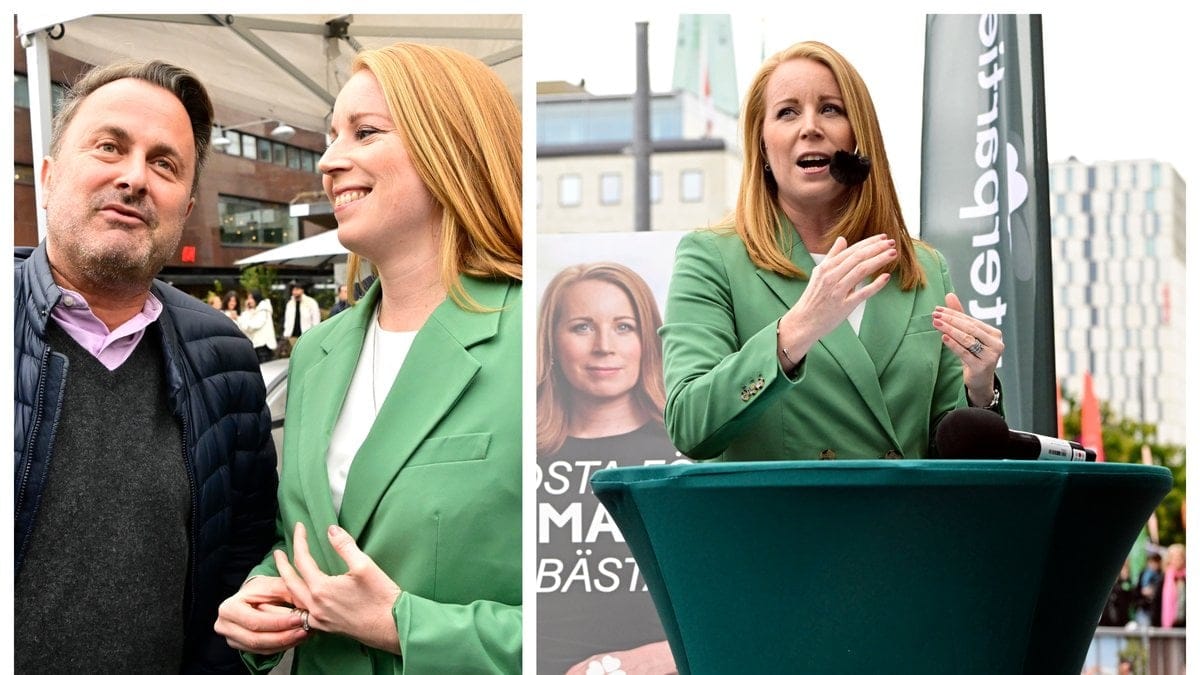 Annie Lööf (C) kallar valet för ett ödesval.