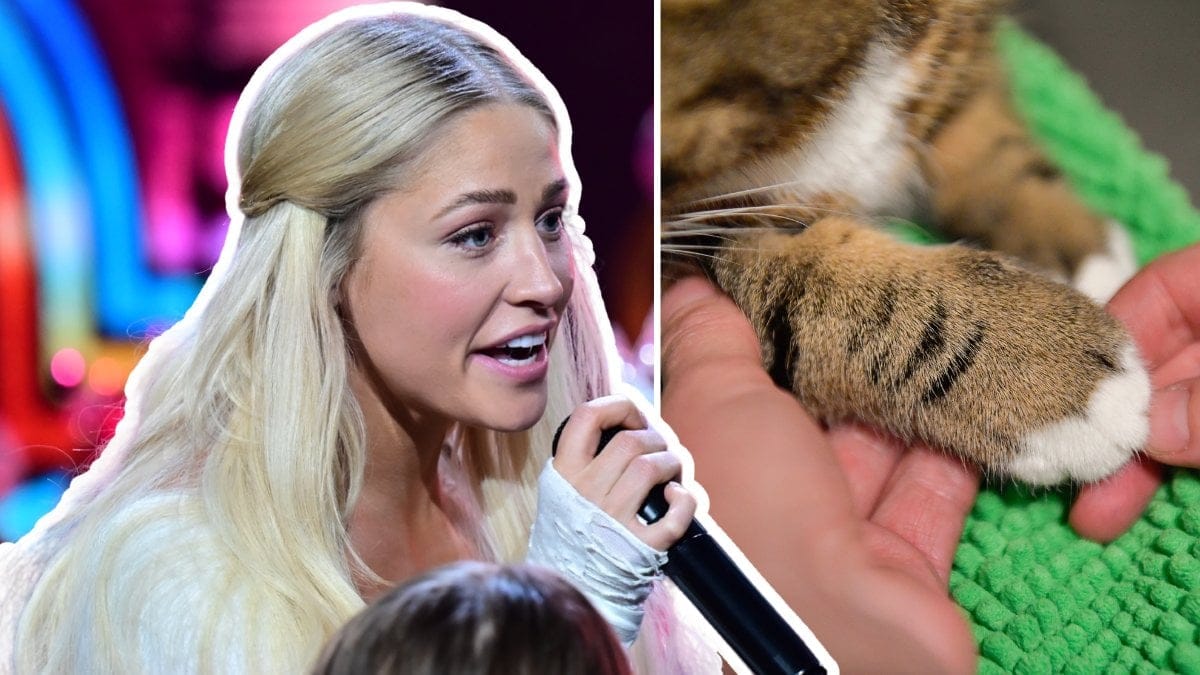 Klara hammarström som sjunger till vänster. Katt-tass till höger.