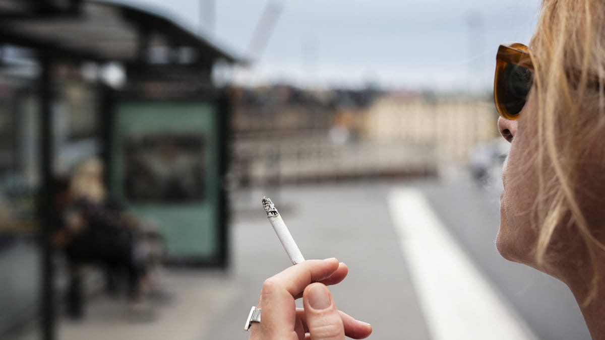 Foto: Magnus Andersson/TT