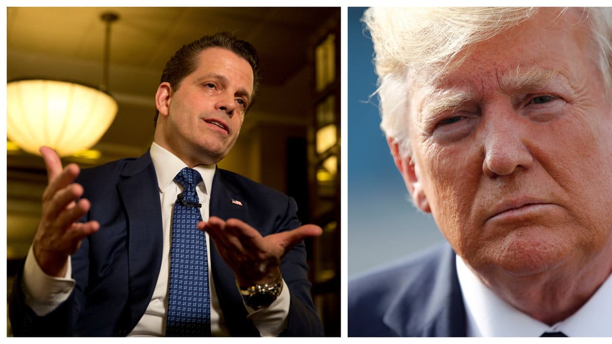 Experten vet när Trump hoppar av.