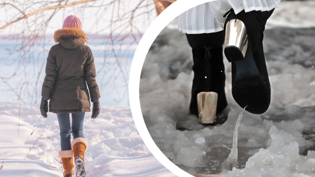 Vintern ser ut att bli mild och grå