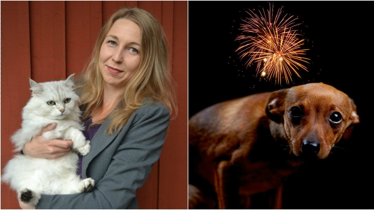 Camilla Björkbom