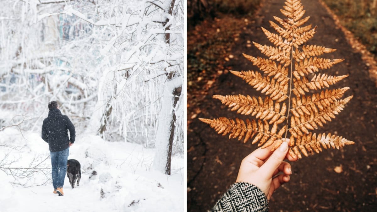 Fortfarande är det höstens intåg som dominerar i landet.