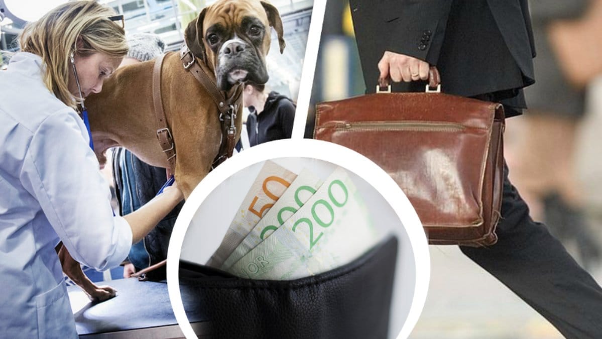 Kvinnliga veterinärer och arkitekter tjänar mer än män