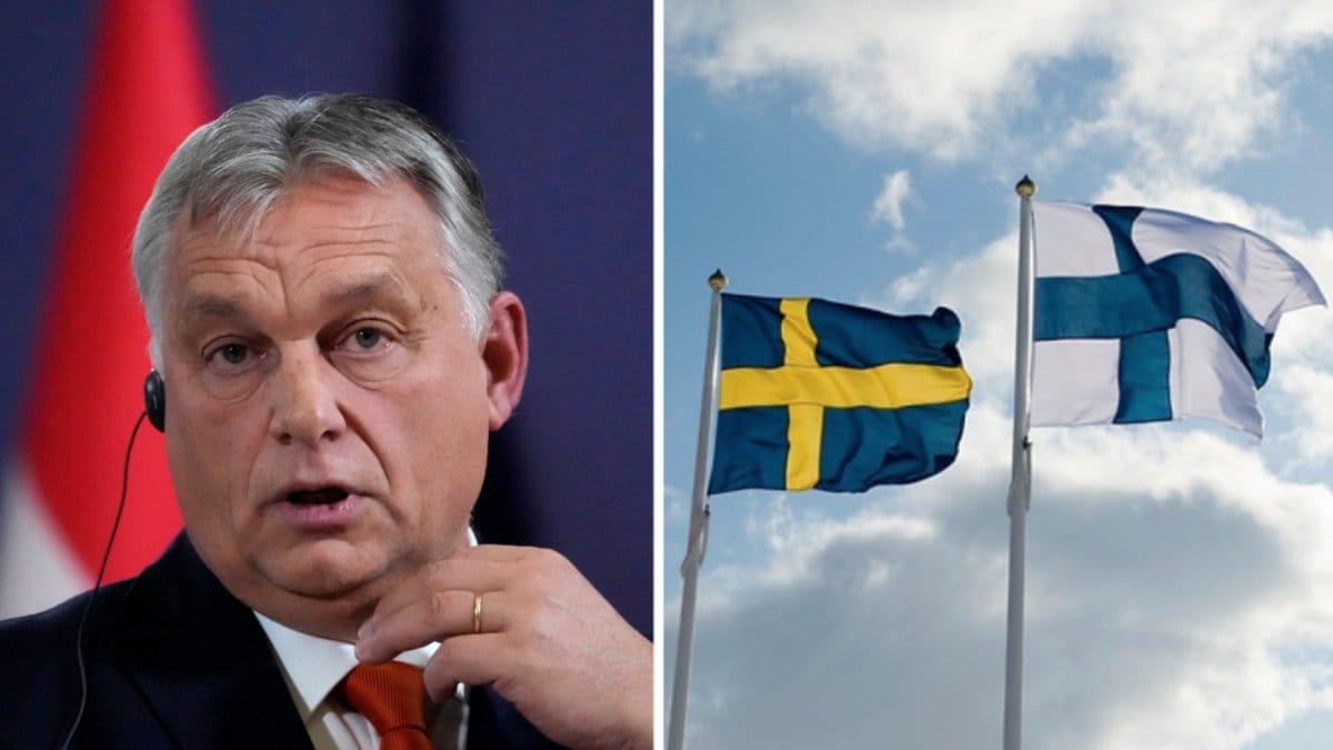 Ungerns godkännande väntas komma under parlamentets första sammanträde i januari säger premiärministern.