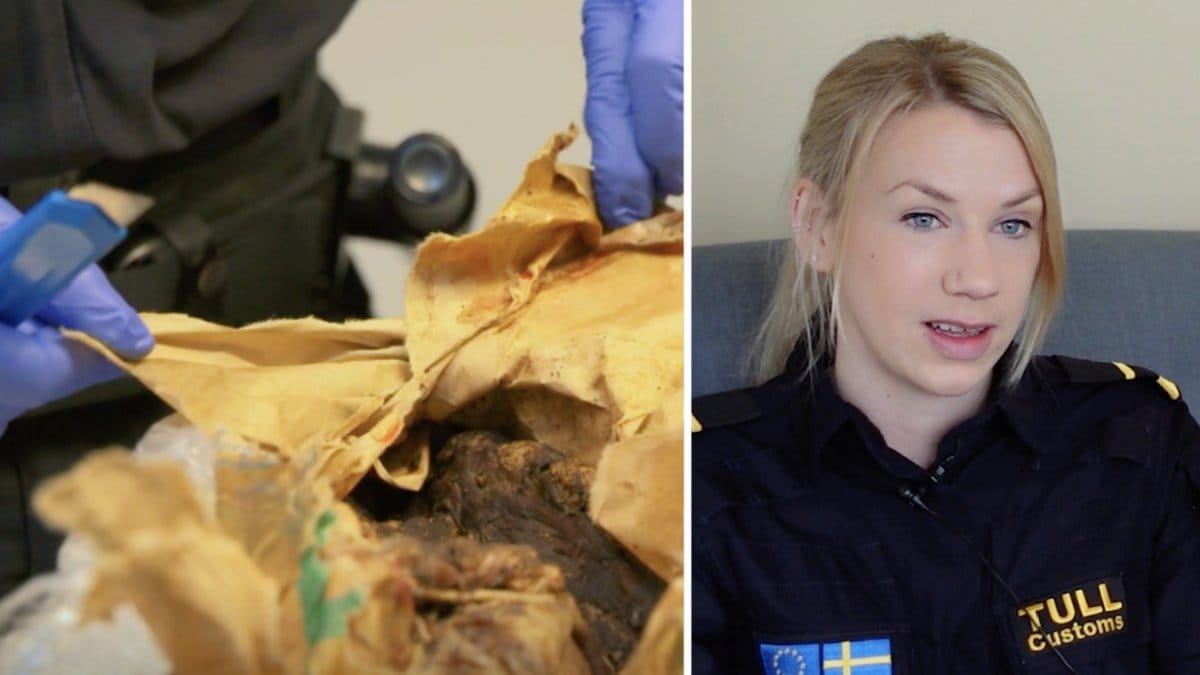 Mimmi från Gränsbevakarna Sverige berättar om fyndet i tullen