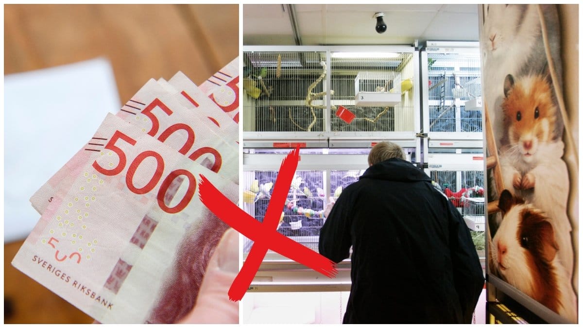 Bryter du mot det nya EU-förbudet kan det stå dig dyrt.