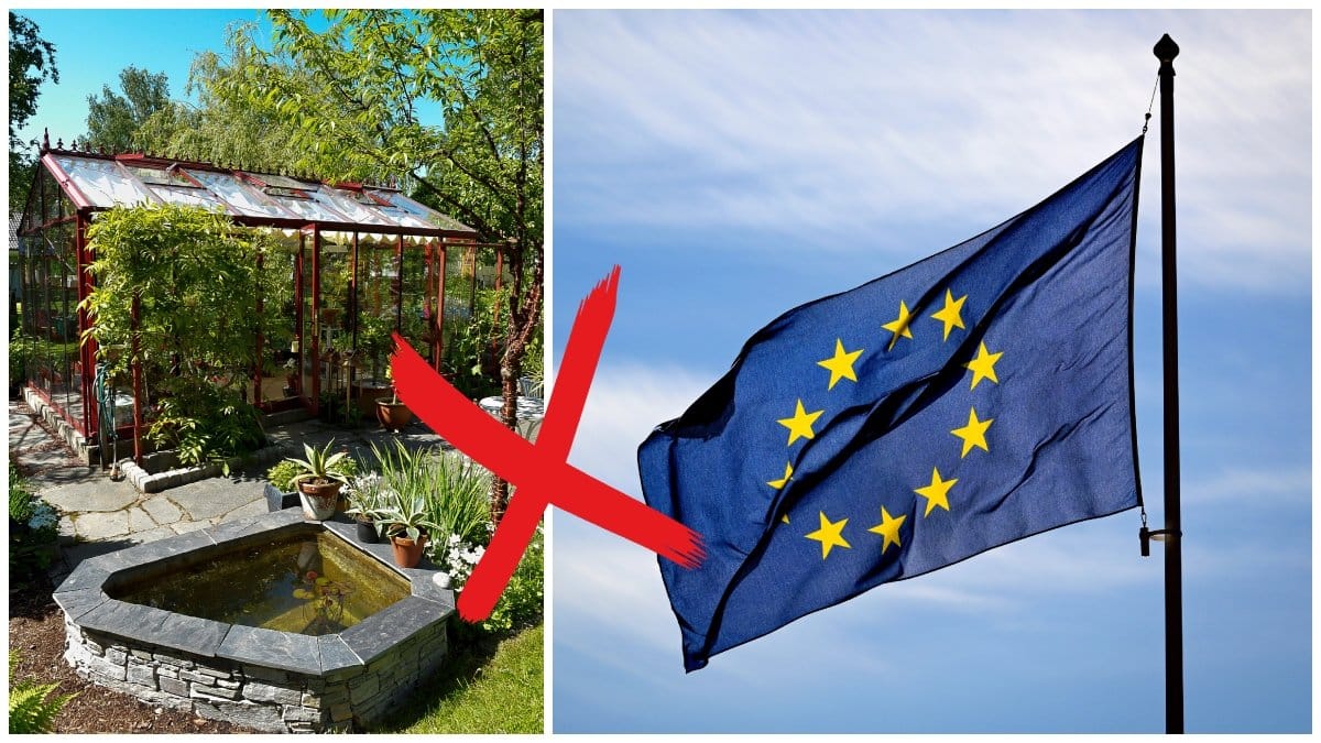 Ett nytt EU-förbud trädde i kraft den 2 augusti. 