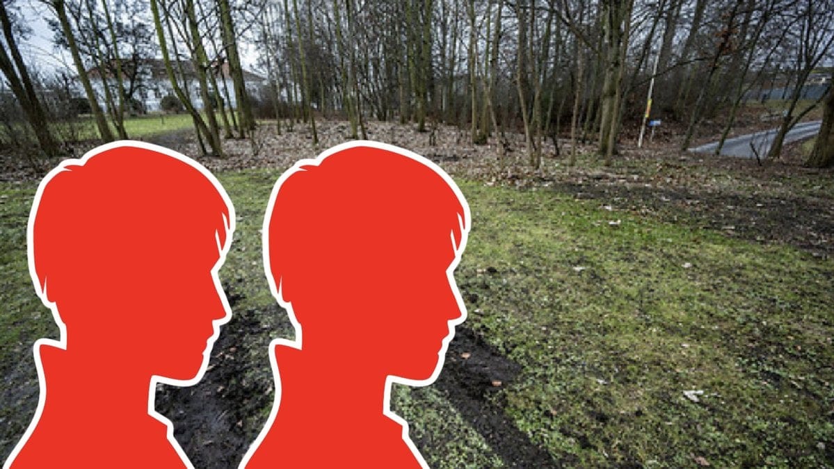 Skogspartiet utmed Frölichs väg med Drömmarnas hus i bakgrunden på Rosengård i Malmö ska ha varit brottsplatsen. Arkivbild.