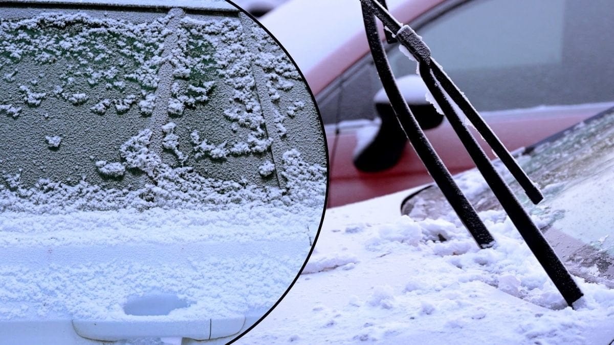 Bilrutor på vintern.