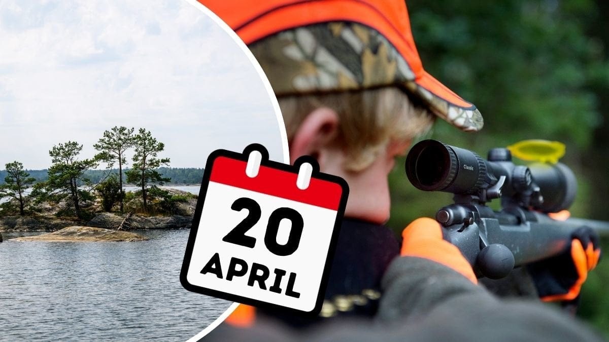 Skärgårdsö och jägare som siktar