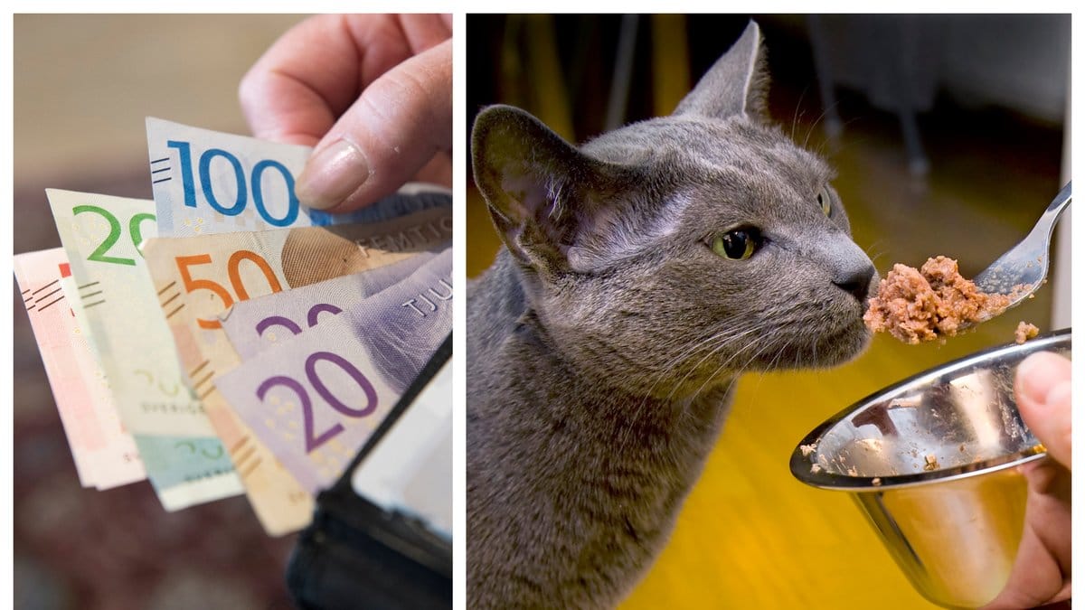 Katt- och hundprodukter har blivit betydligt dyrare.