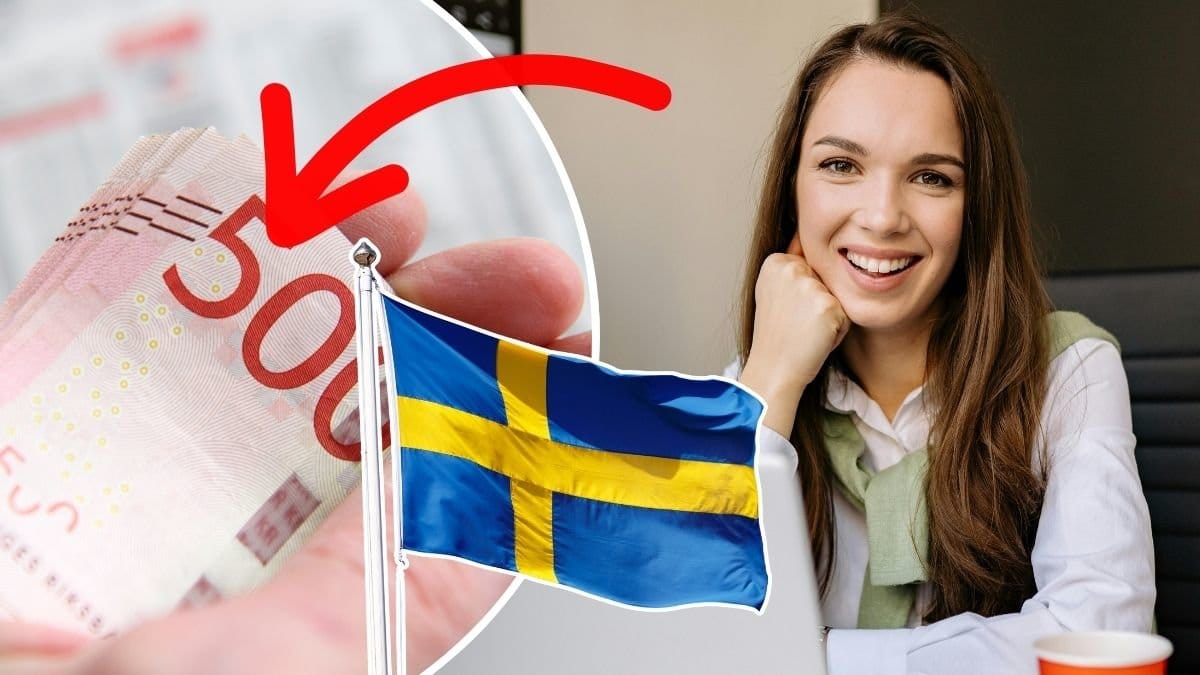 Pengar, svenska flagga, kvinna med dator.