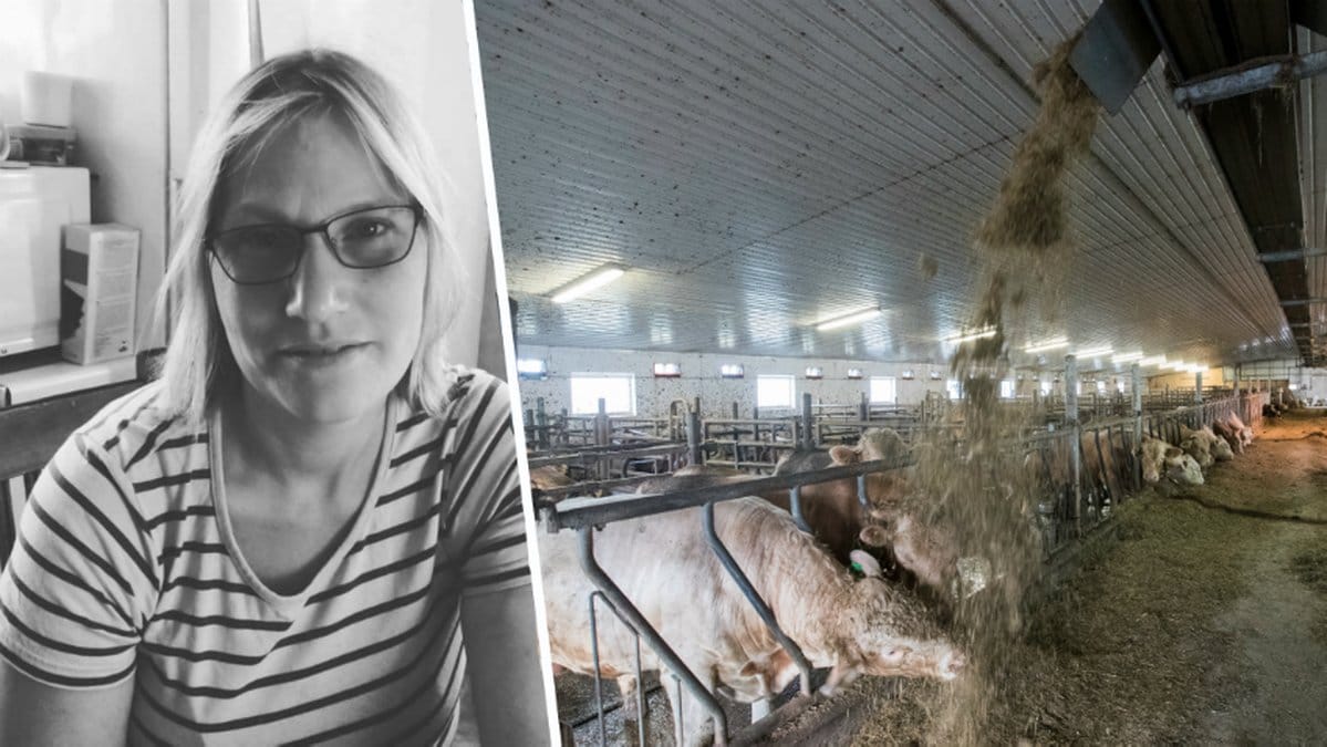 Det råder en torka i Sverige vilket gör det svårt att få fram foder åt djur.