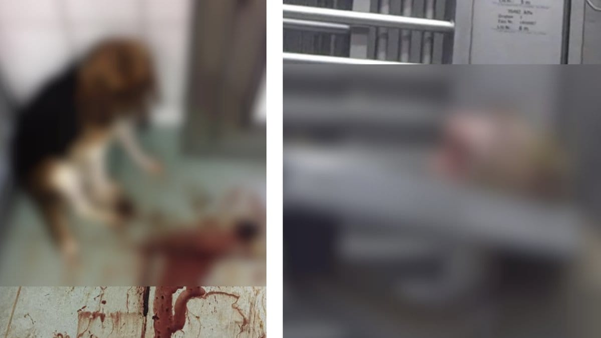 Djurrättsaktivist-avslojar-hemska-djurforsok