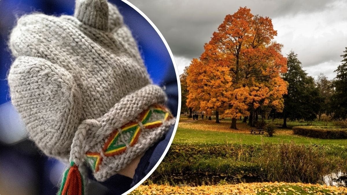 Bilder på höstlöv och vantar.