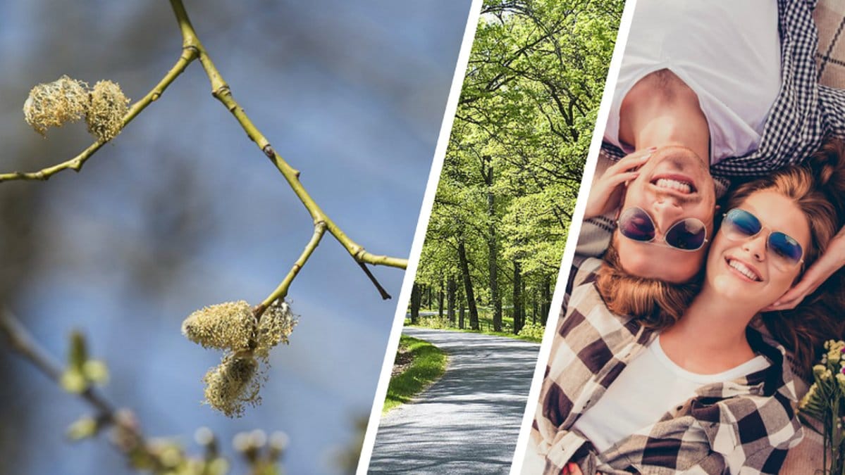 Det är inte långt kvar nu!