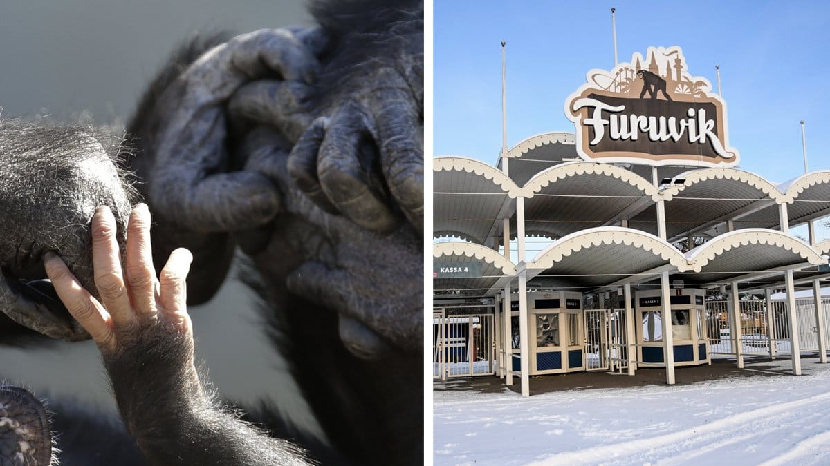 Ytterligare anmälningar mot Furuviksparken: Djurplågeri