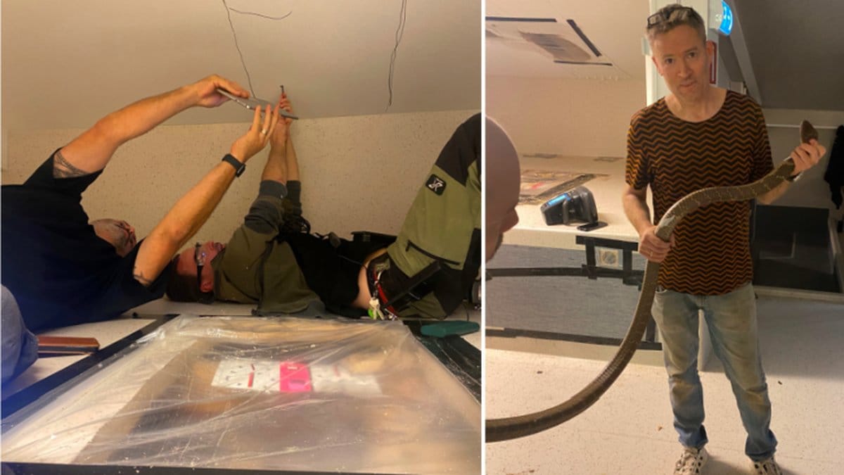 Se bilderna från när Sir Väs fångas in!