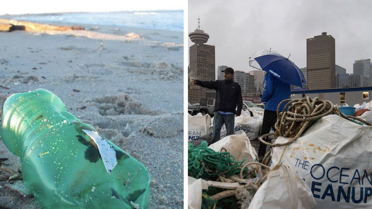 Skruvkorkar till flaskor är vanligt förekommande i det skräp som förekommer i Stilla havet. Arkivbild.