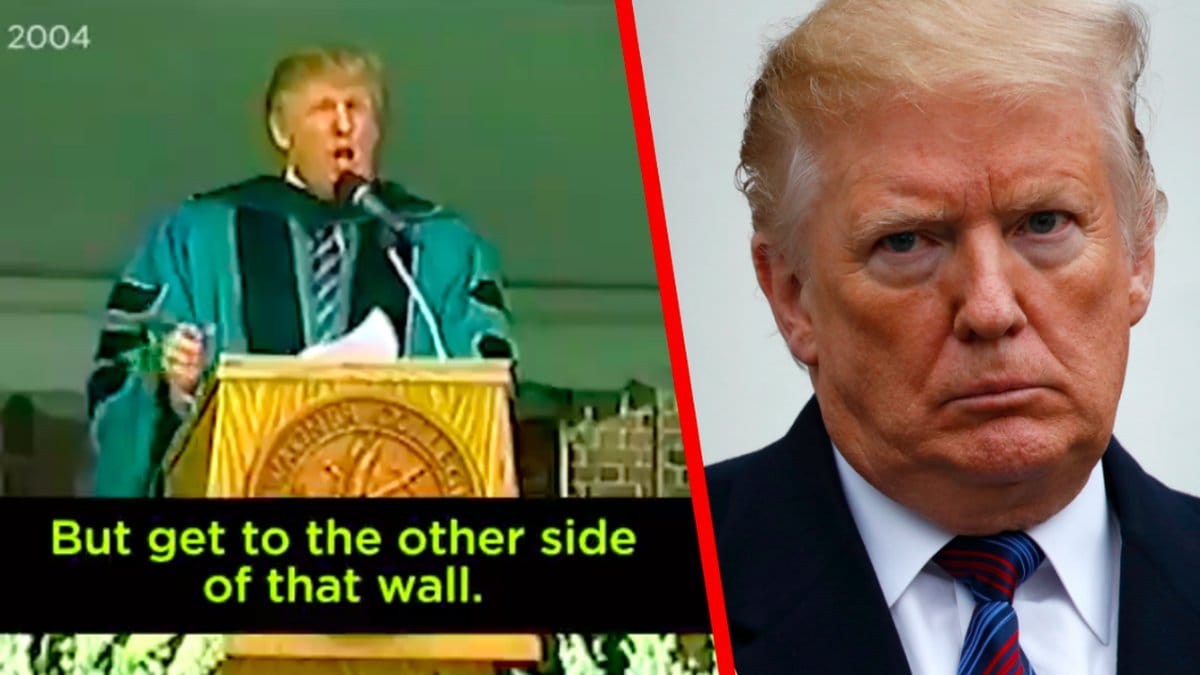 Donald Trump 2004 och Donald Trump 2019. Kollage. 
