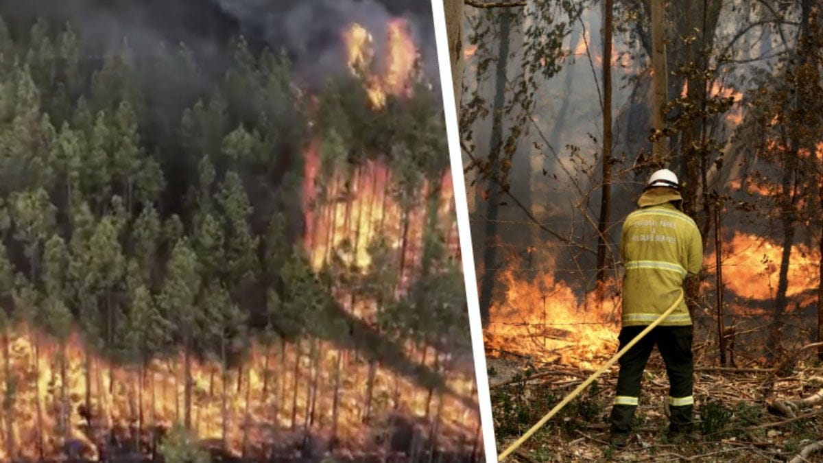 Massiva skogsbränder härjar i Australien