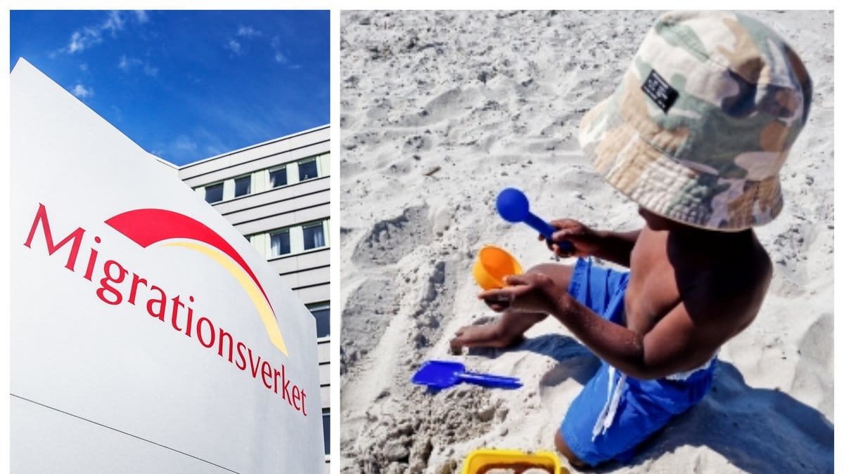 Utvisningen av Tim, 3, har tillfälligt stoppats.