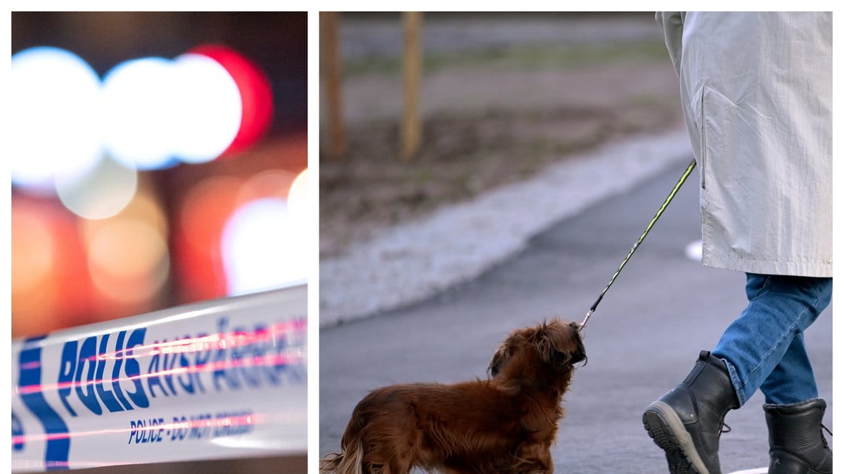 En man i 20-årsåldern har gripits efter att brutal attack mot hundar och människor i Ystad.