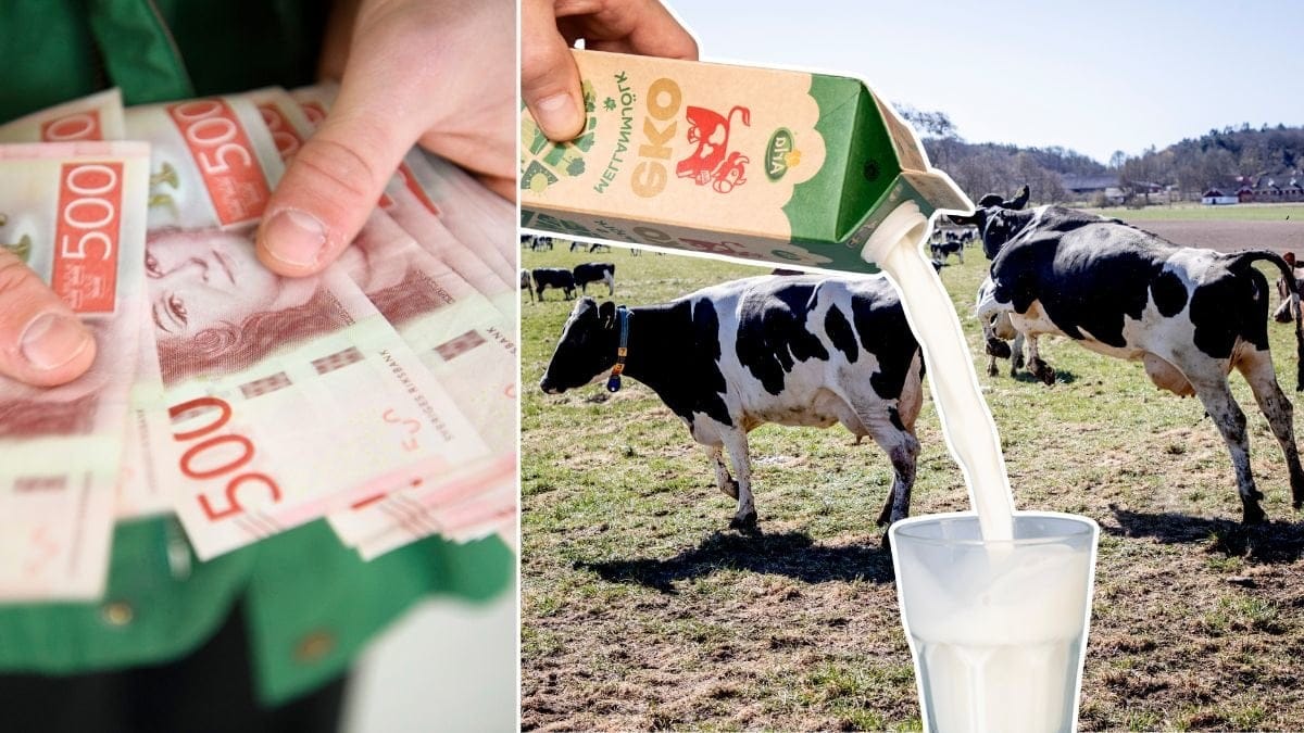 Pengar, kor och Arla-mjölk som hälls upp i ett glas.