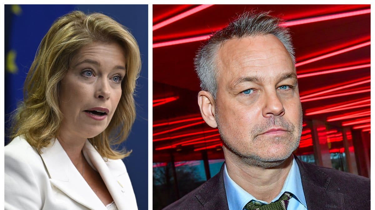 Annika Strandhäll (S) får kritik efter orden till Henrik Schyffert.