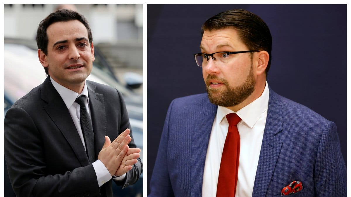 EU-parlamentarikern Stéphane Séjourné uttrycker sin oro över SD:s valframgångar.