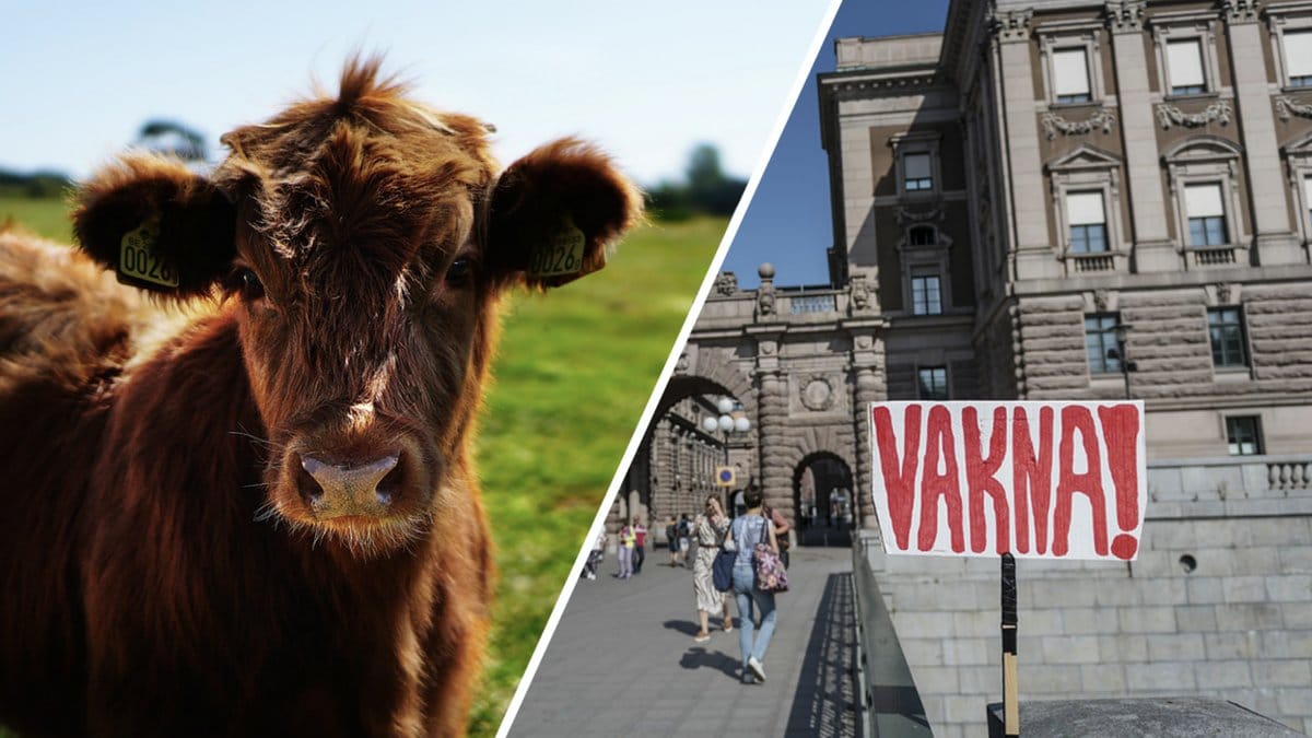 FN:s klimatpanel har släppt sin rapport.