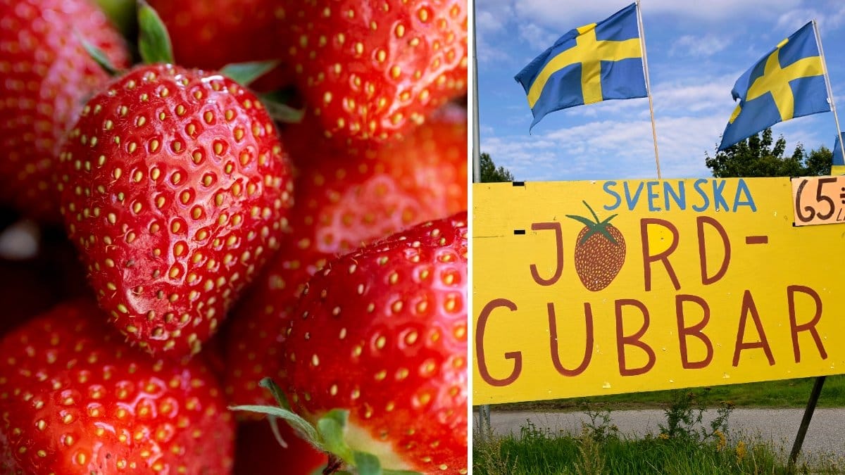 Bild på jordgubbar och en skylt med reklam för jordgubbsförsäljning.
