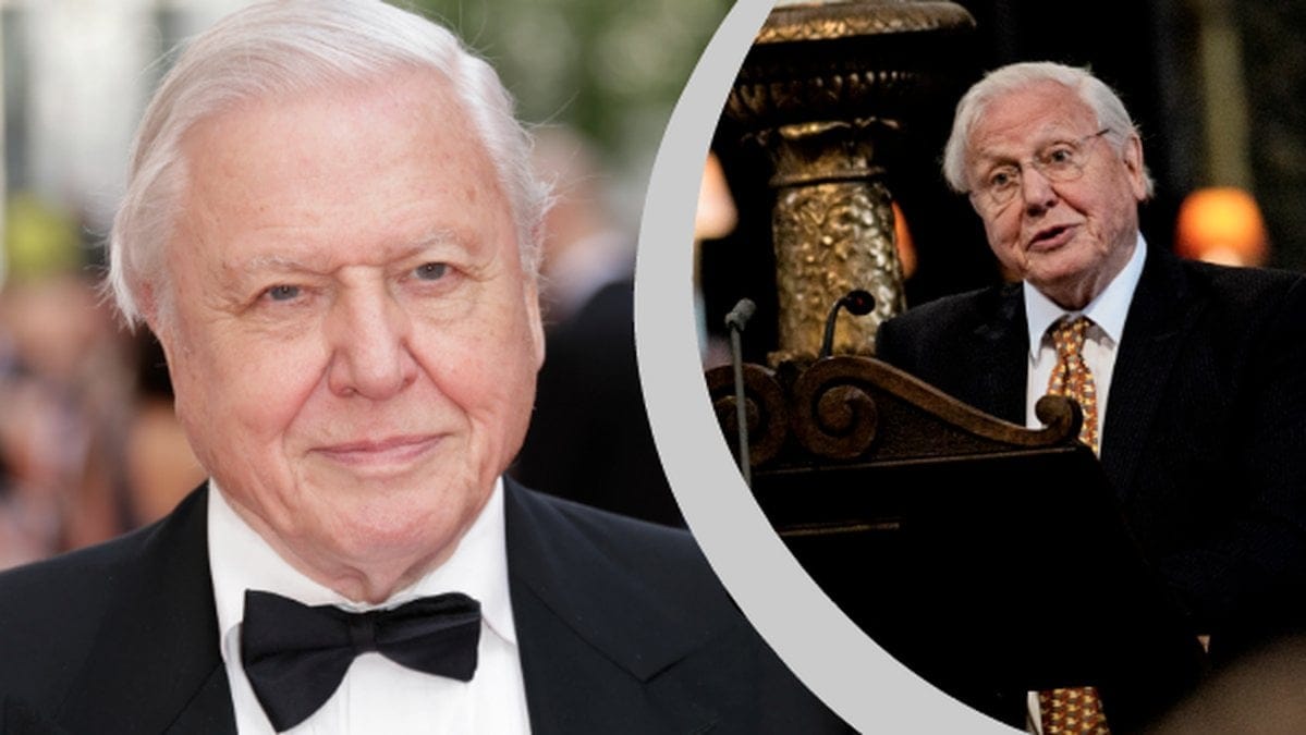 David Attenborough fakta