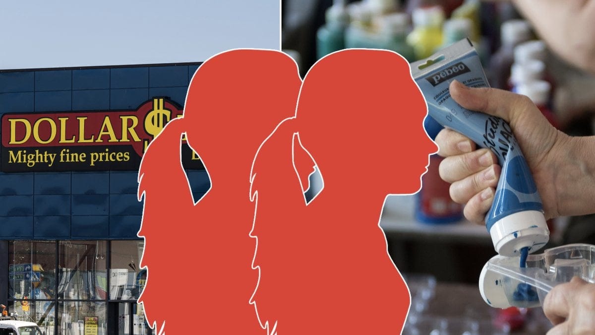Tre ungdomar döms för skadegörelse på Dollarstore.