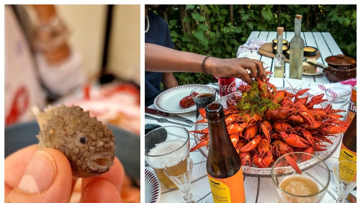 Mattias, 27, hittade en fisk bland sina räkor.
