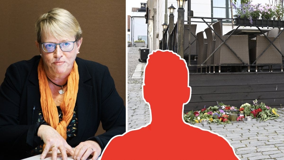 Åklagaren om den misstänkte knivmannen i Visby: Riktat mot psykiatrin