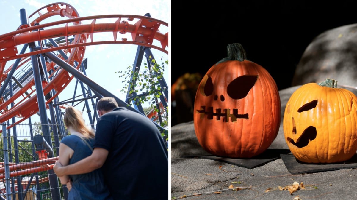 Skelettet tros ha funnits på platsen i två år.
