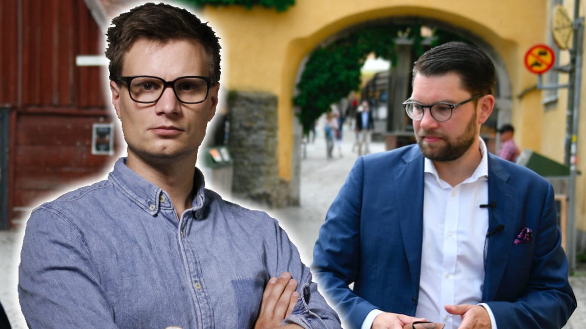 Sverigedemokraternas största problem