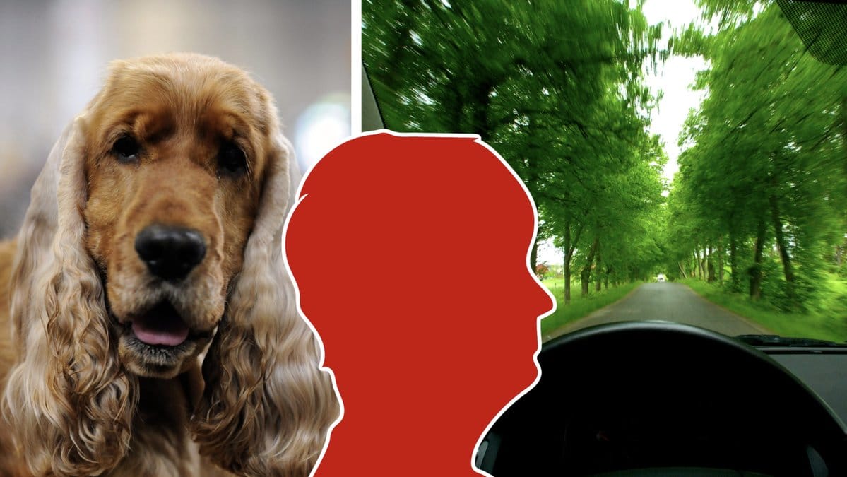 Kvinnan döms till ett års fängelse.