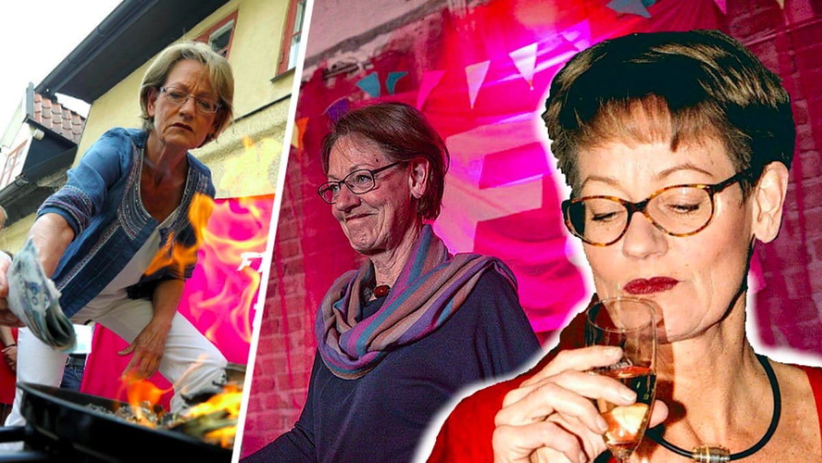 Montage på Gudrun Schyman