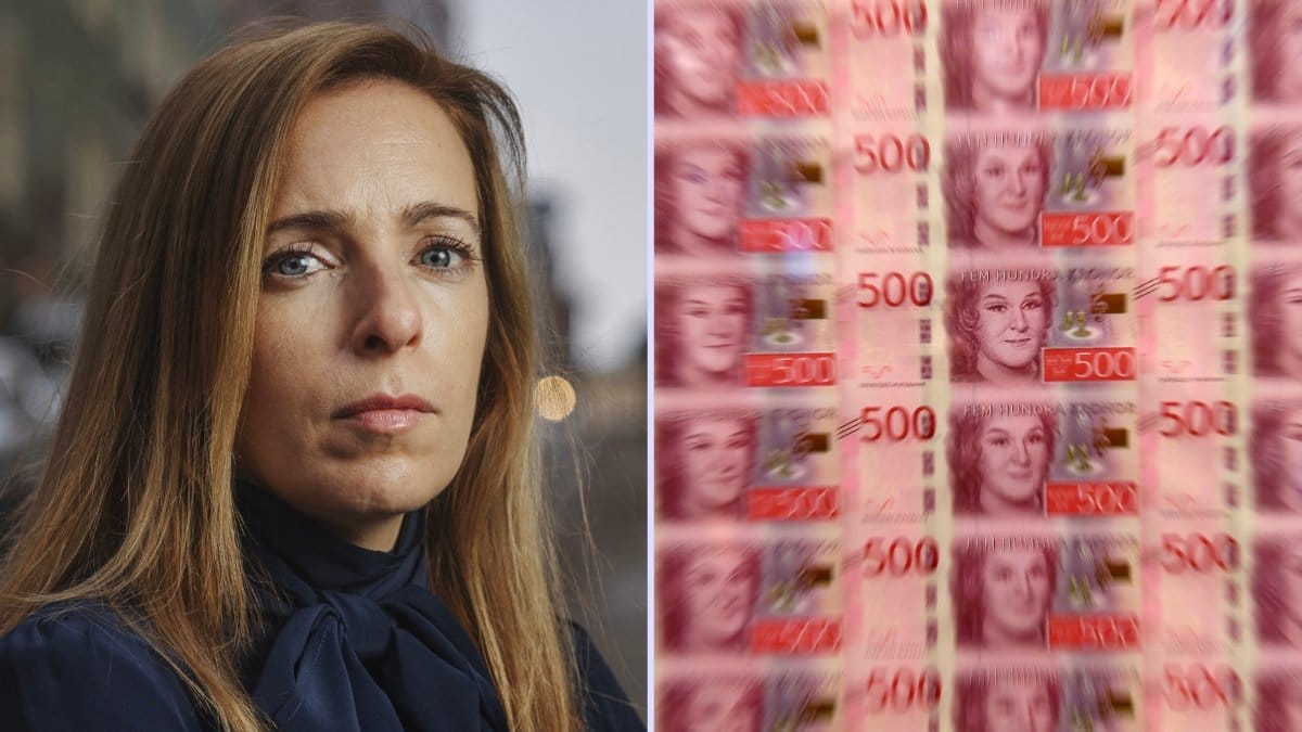 Finansinspektionens Moa Langemark och pengar.