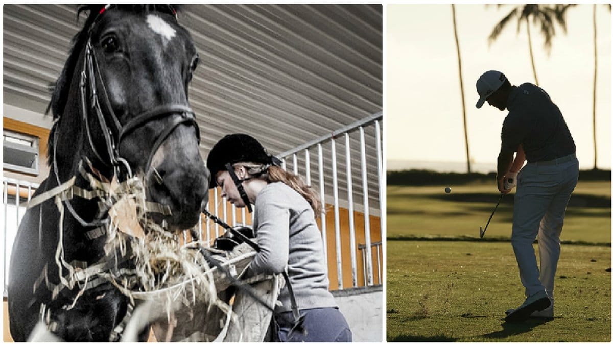 Ridning och golf omfattas av friskvårdsbidraget