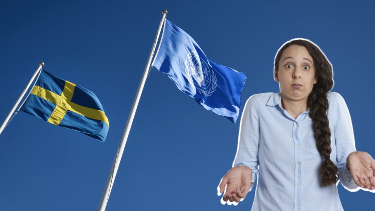 Den 24 oktober firas FN-dagen / Johan Nilsson TT/TT
