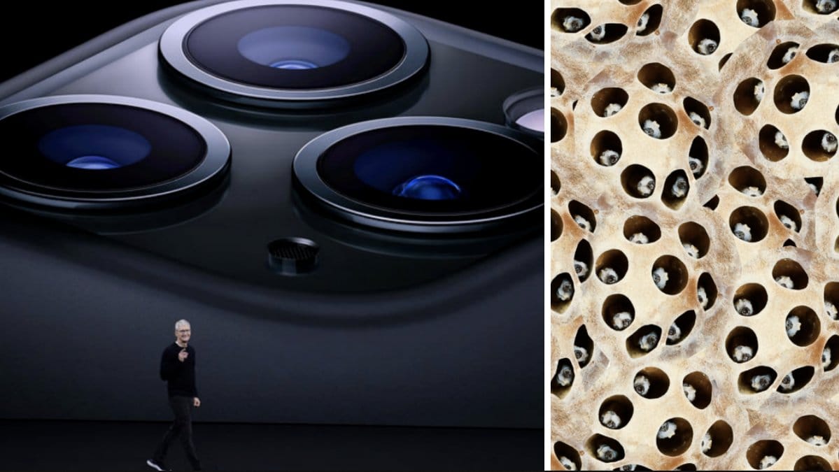 iPhone 11, trypofobi