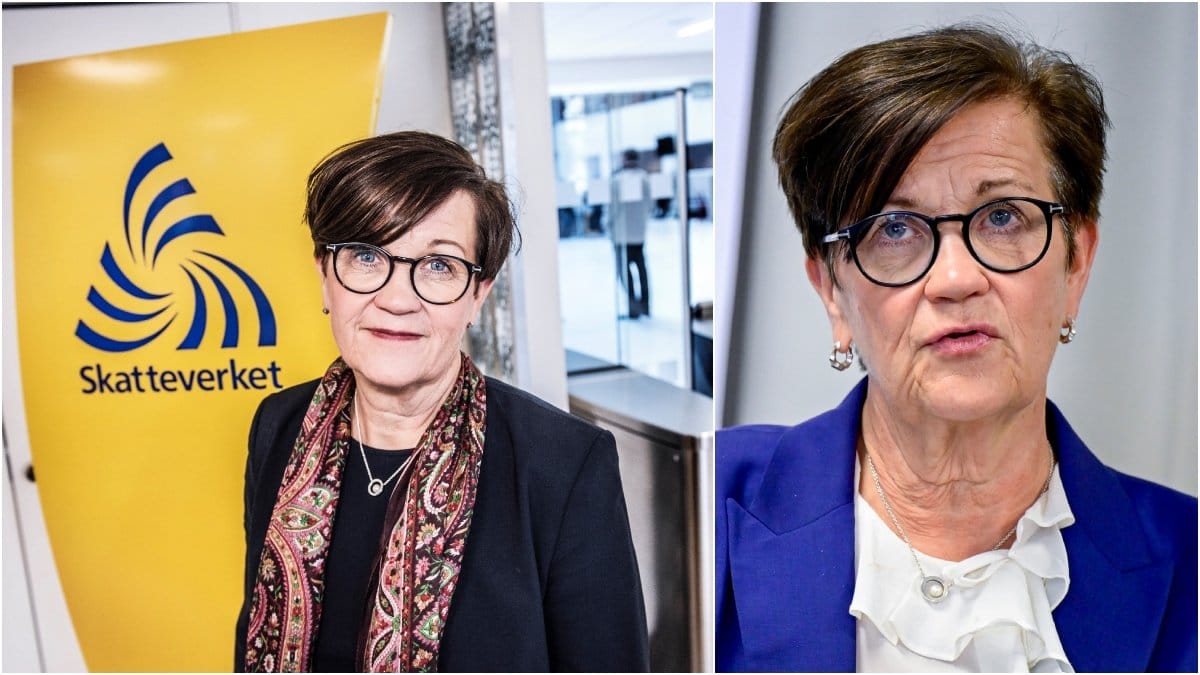 Pensionsmyndighetens före detta generaldirektör, Katrin Westling Palm, tog över som generaldirektör på Skatteverket under 2017.